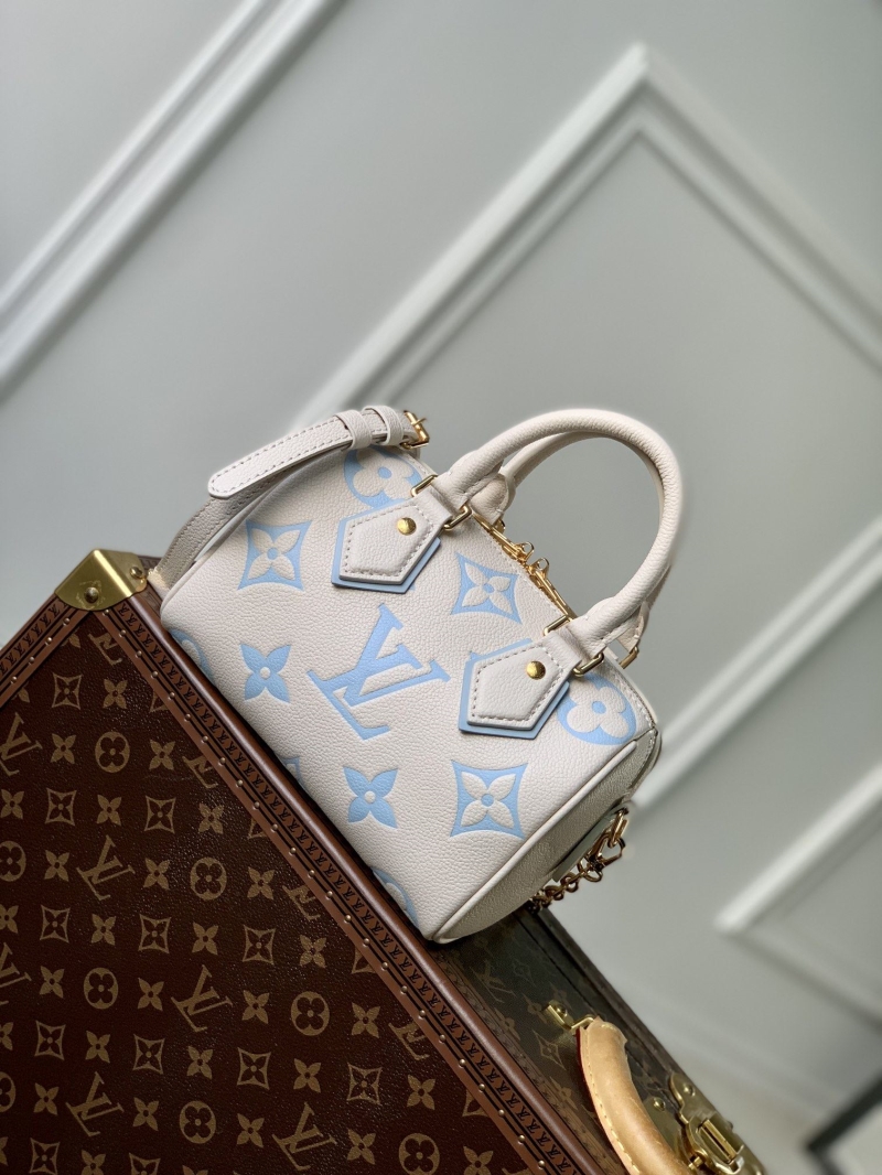 LV Travel Bags